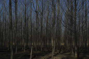 Mendoza, Argentina.- In the photos taken on July 12, 2023, it shows postcards from the city of Mendoza in the middle of the winter holidays. The winter season promises good numbers for Argentina. The Ministry of Tourism estimates that 5.5 million people will mobilize around the country, which, together with foreigners, will add up to a total of 7 million tourists.