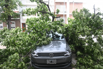 Buenos Aires, Argentina.- En las fotos tomadas el 20 de diciembre del 2023, personal del gobierno de la Ciudad de Buenos Aires continúan con los trabajos para despejar las calles de árboles, ramas y cables caídos provocados por el temporal. El Gobierno de la Ciudad, mediante un Decreto, creó un Régimen Especial de Subsidios para los damnificados por la “catástrofe meteorológica extraordinaria” del domingo 17 de diciembre para atender y paliar los daños ocasionados por los fuertes vientos que hayan sufrido tanto bienes inmuebles como automotores radicados en la Ciudad.